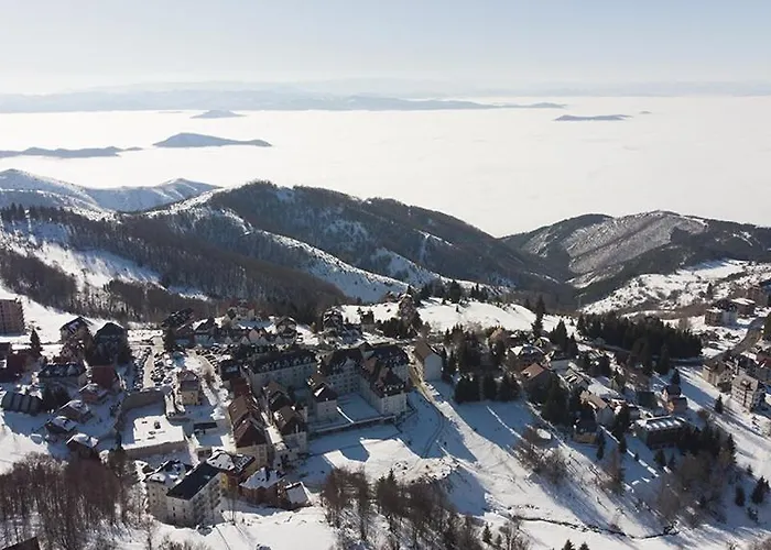 Bos Cajetina (Raska)